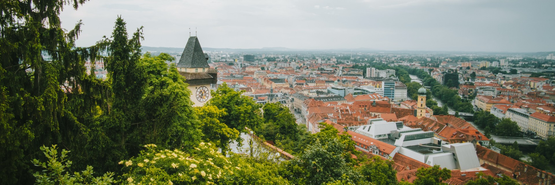 Grazer Gerinnungstage Banner